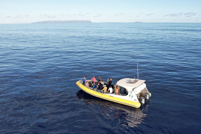 Winter Whale Watching Adventure in Kauai - What you actually do out on the water (Stop 1: Kauai)