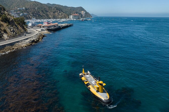 Yellow Semi-Submarine Tour of Catalina Island From Avalon - Quick Hits Before You Ride Yellow Semi-Submarine