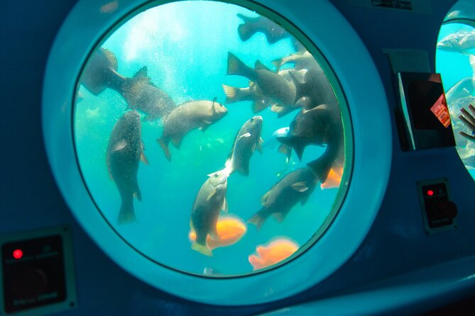 Yellow Semi-Submarine Tour of Catalina Island From Avalon - Boarding SS Nautilus at Green Pleasure Pier: How the Tour Starts