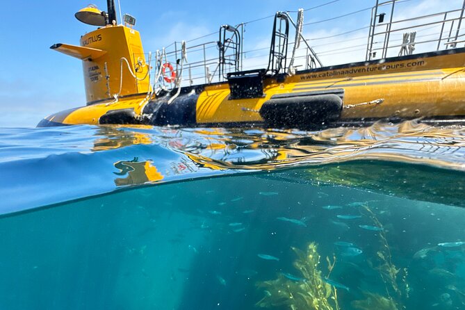 Yellow Semi-Submarine Tour of Catalina Island From Avalon - Porthole Viewing and Fish Feeding: The Real Show at 6 Feet Down