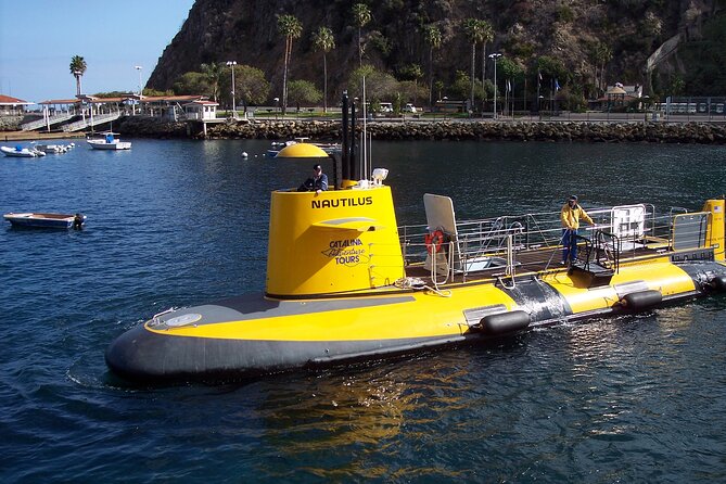 Yellow Semi-Submarine Tour of Catalina Island From Avalon - Crew Energy and How Guides Keep It Fun