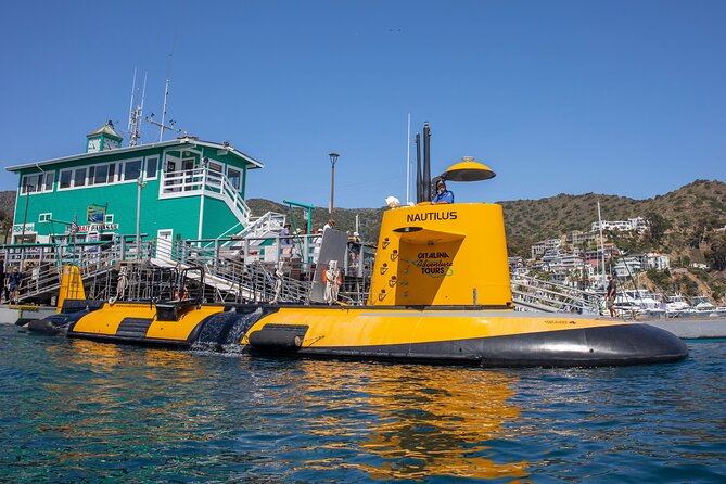 Yellow Semi-Submarine Tour of Catalina Island From Avalon - Price and Value at $53: What You Actually Get
