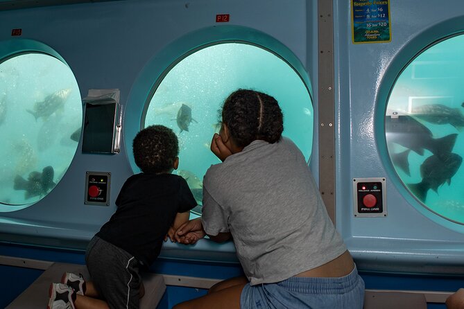 Yellow Semi-Submarine Tour of Catalina Island From Avalon - Who This Tour Fits Best (and Who Might Skip It)
