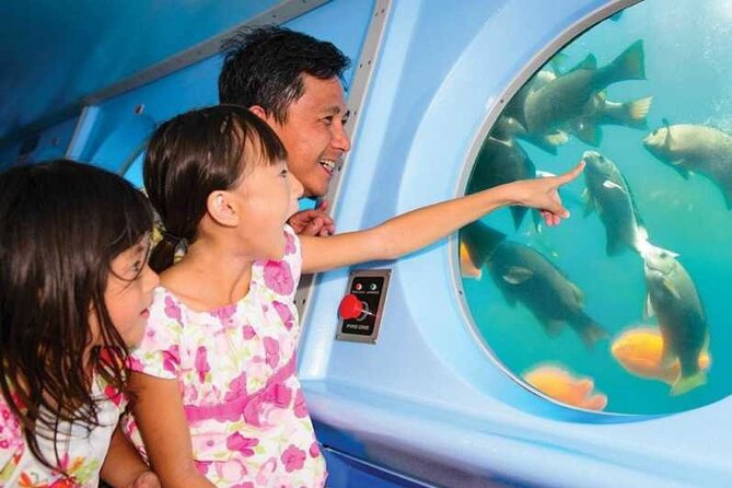 Yellow Semi-Submarine Tour of Catalina Island From Avalon - The 45-Minute Underwater Plan: From Avalon to Lovers’ Cove