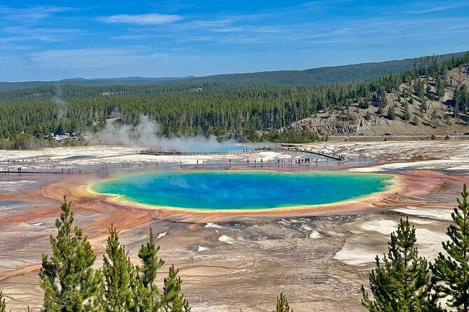 Yellowstone Lower Loop Full-Day Tour - Key Things You’ll Notice on This Lower Loop Tour