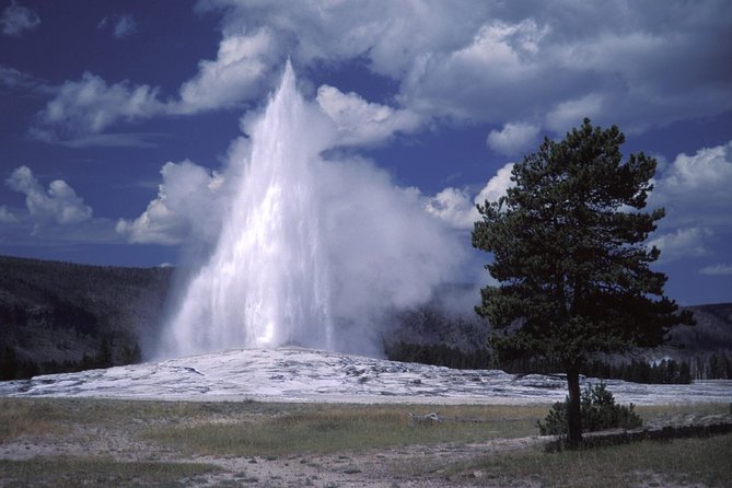 Yellowstone Lower Loop Full-Day Tour - Grand Canyon of the Yellowstone: Upper and Lower Falls Views