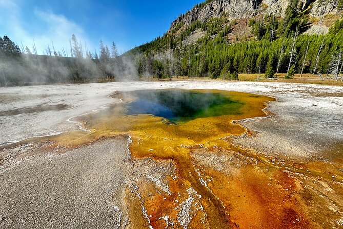 Yellowstone Lower Loop Full-Day Tour - Pickup From Jackson or Teton Village, and the Reality of a 10 to 12 Hour Day