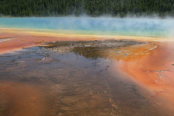 Yellowstone National Park - Full-Day Lower Loop Tour from Jackson - Yellowstone gate-in: your first 4 hours in the park