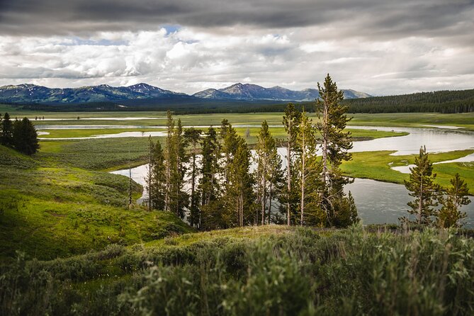 Yellowstone National Park Tour from Jackson Hole - Grand Canyon of Yellowstone and Lower Falls