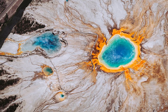 Yellowstone National Park Tour from Jackson Hole - Hayden Valley bison country with binoculars ready