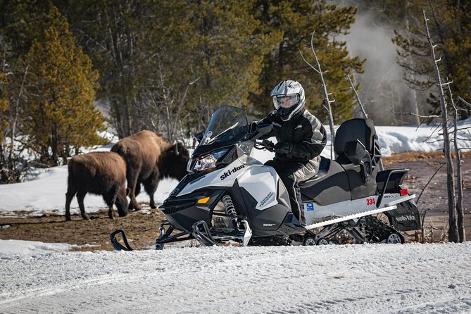 Yellowstone Old Faithful Full-Day Snowmobile Tour from Jackson Hole - Price and value: what $525 really covers