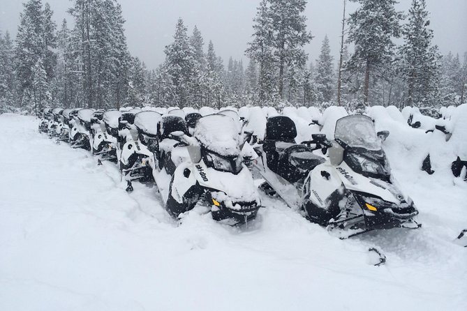 Yellowstone Old Faithful Full-Day Snowmobile Tour from Jackson Hole - Old Faithful stop: eruption watching plus lunch in the cold