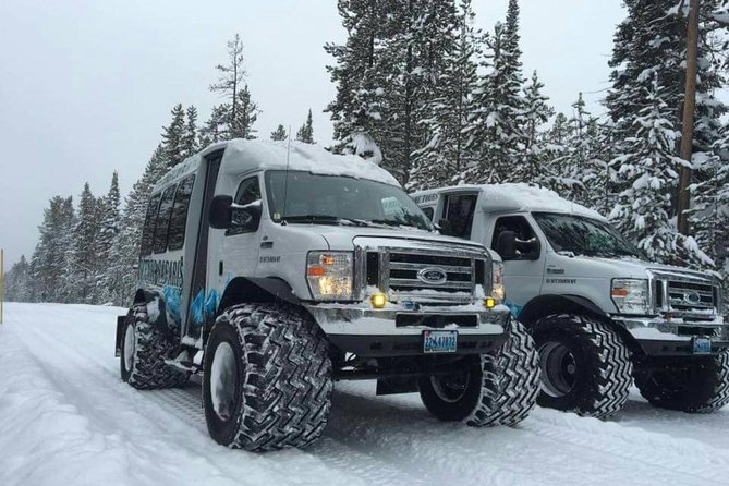 Yellowstone Old Faithful Snowcoach Tour from Jackson Hole - Key highlights you will actually care about