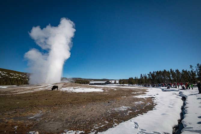 Yellowstone Old Faithful Snowcoach Tour from Jackson Hole - Old Faithful is the anchor stop, not just a quick photo