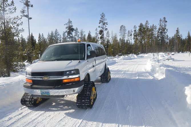 Yellowstone Old Faithful Snowcoach Tour from Jackson Hole - Moose Falls: quick stop, good photo energy, and wildlife chances