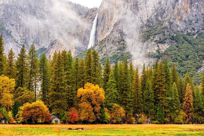 Yosemite Highlights & Giant Sequoias Day Tour from San Francisco - What You’ll Notice Right Away