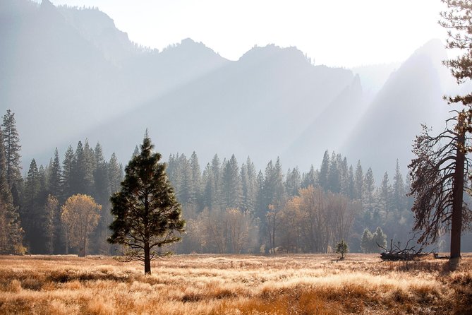 Yosemite Highlights & Giant Sequoias Day Tour from San Francisco - 5:20 AM Pickup and Early Entry, Why This Tour Feels Like a Strategy
