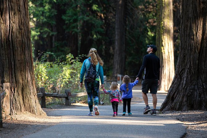 Yosemite Highlights & Giant Sequoias Day Tour from San Francisco - Tuolumne Grove to Tunnel View, the Big Yosemite Hits in the Right Order