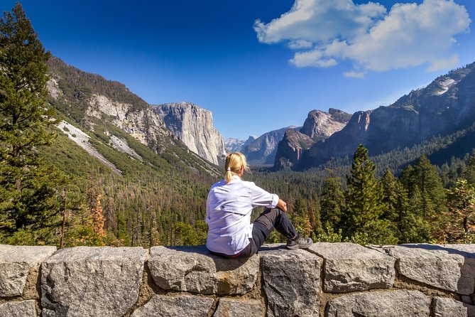 Yosemite Highlights & Giant Sequoias Day Tour from San Francisco - El Capitan Meadow and Valley View, Where the Cliff Faces Steal the Show